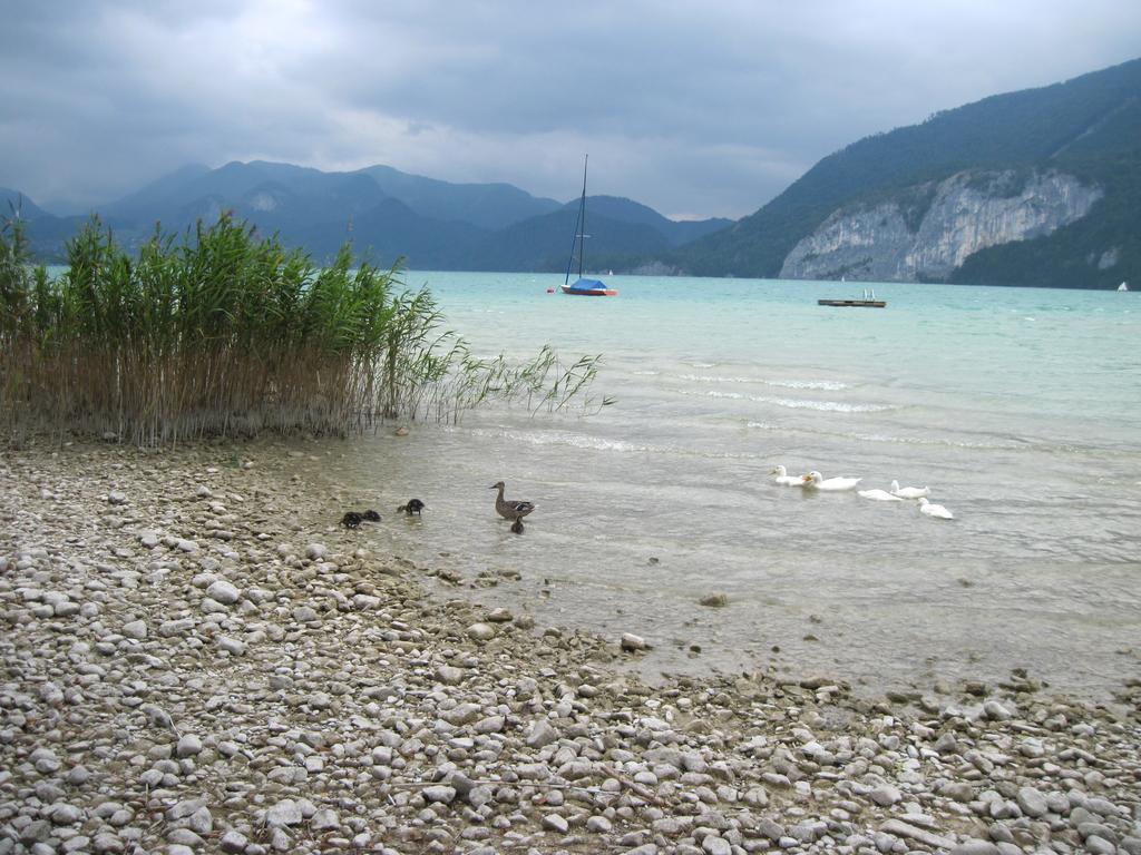 Landhaus Leitner Am Wolfgangsee Sankt Gilgen Eksteriør bilde