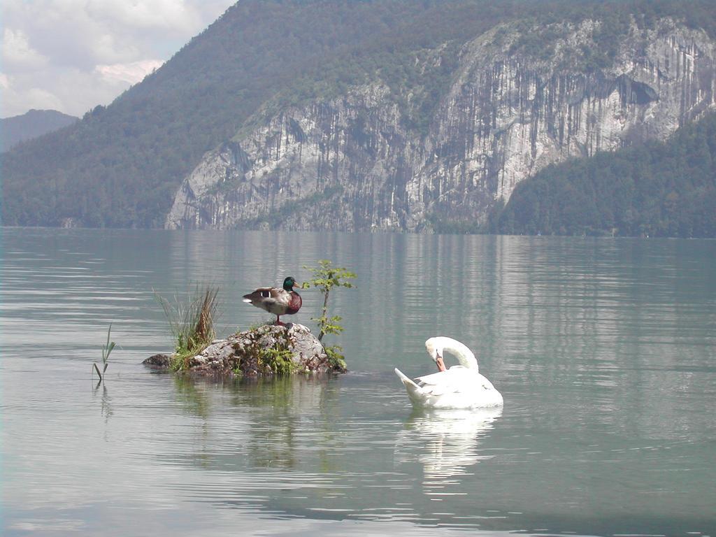 Landhaus Leitner Am Wolfgangsee Sankt Gilgen Eksteriør bilde